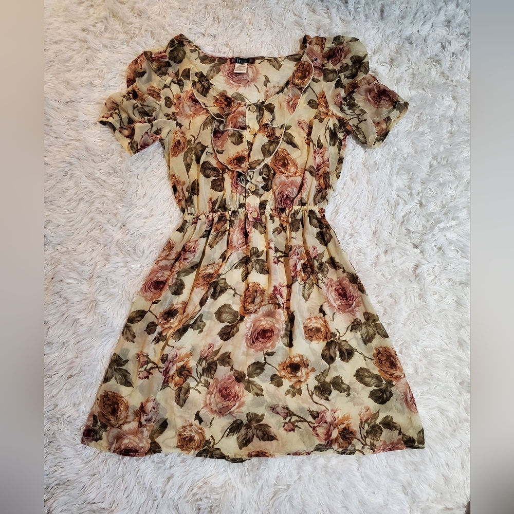 TRIXXI Rose Floral Sheer Chiffon Dress